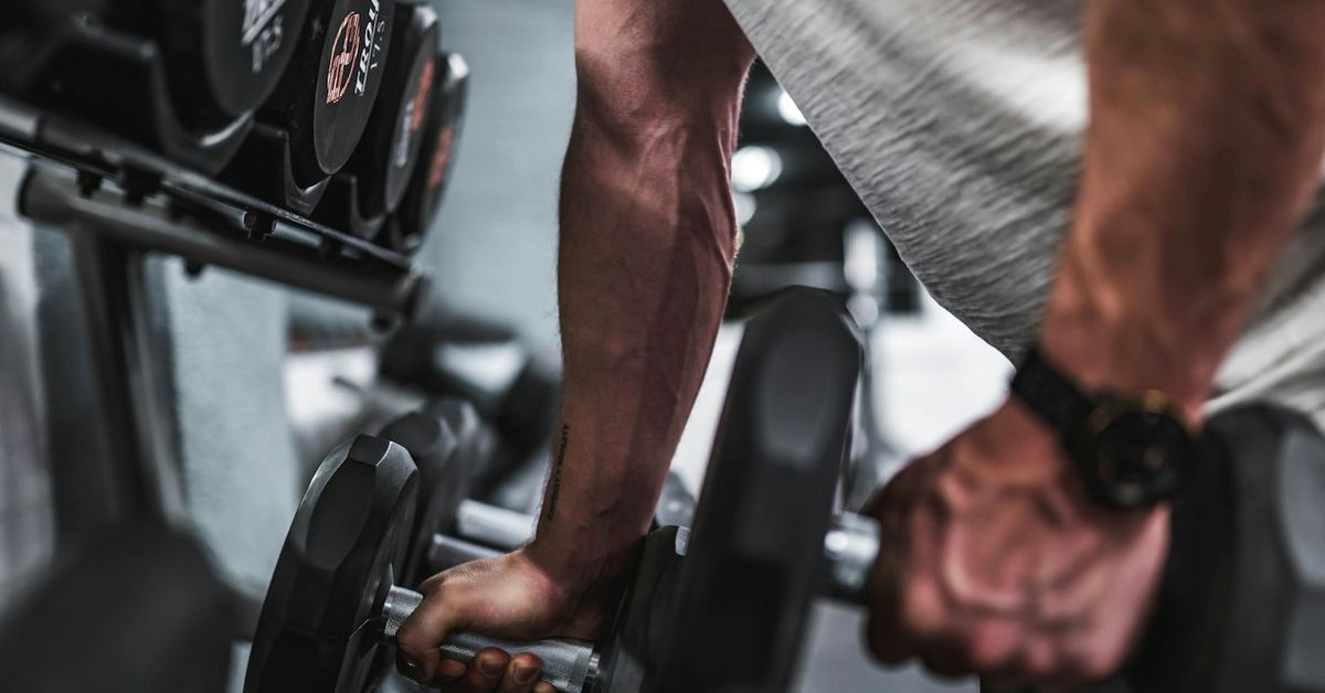 Beaver Fit Zone